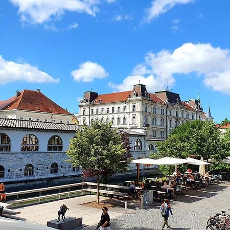 Petkovsek Rooms And Apartments Lublaň Exteriér fotografie